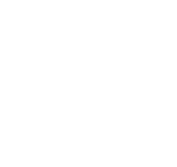 r logo whiteimage